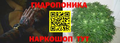 эйфоретик Гатчина
