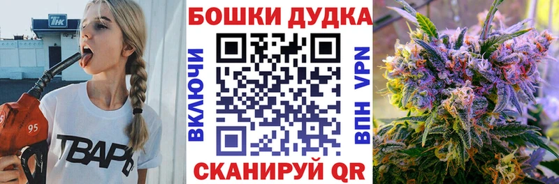 Бошки Шишки сатива сколько стоит Кубинка