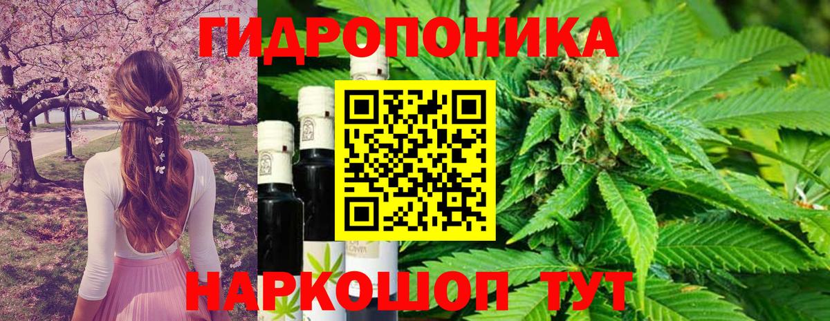 Бошки марихуана марихуана Кубинка